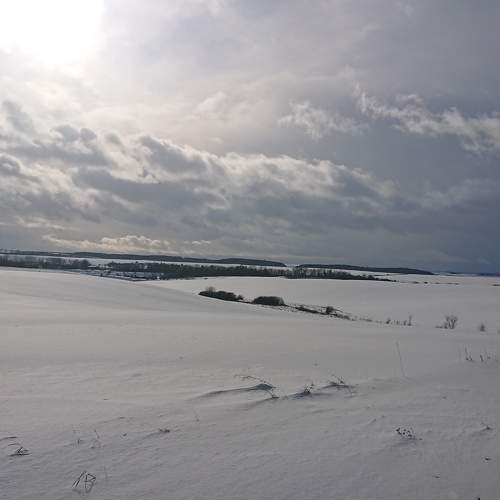 Photo #7220562