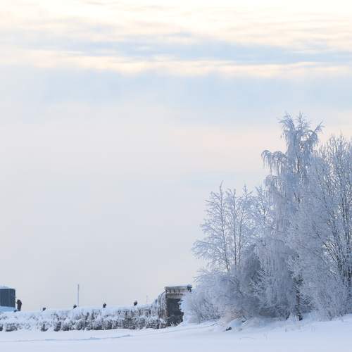 Photo #7220672