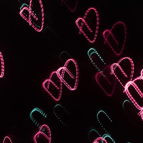 Photo #7220737