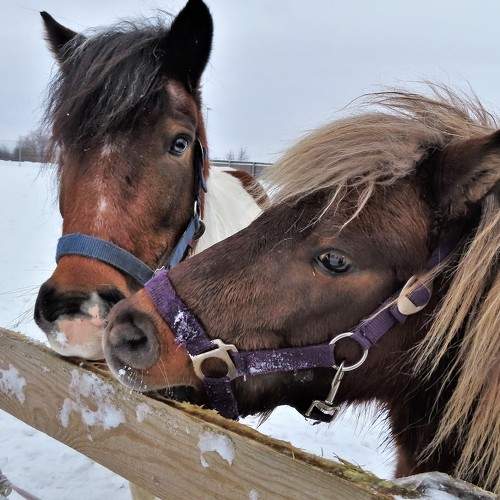 Photo #7221248
