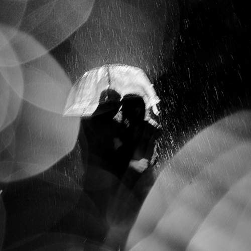 Photo #7221562