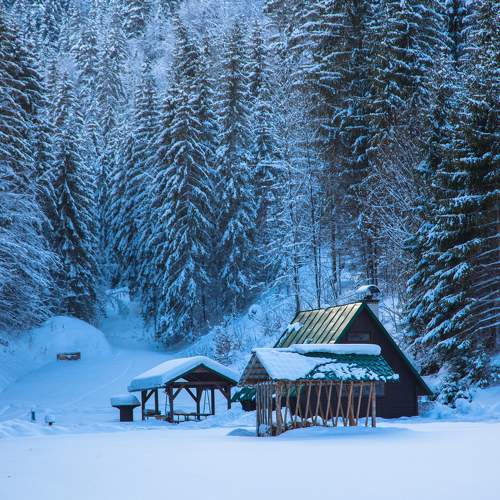 Photo #7221880