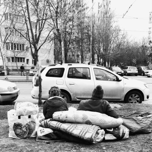 Photo #7222024