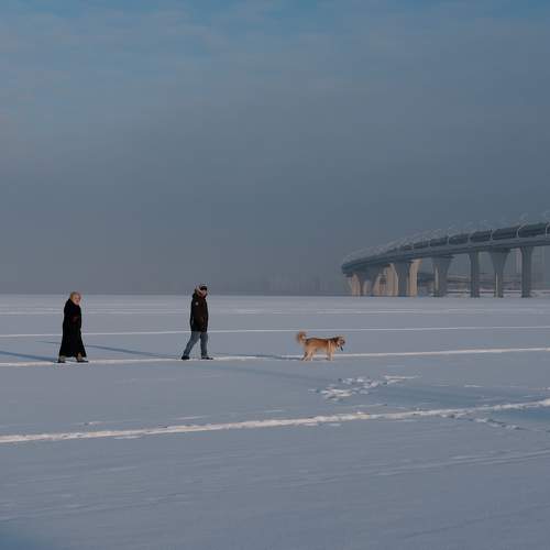Photo #7222202