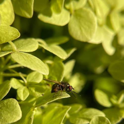 Photo #7222295