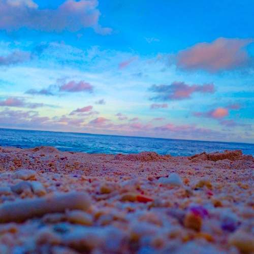 Photo #7222478