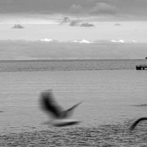 Baku is a city of love