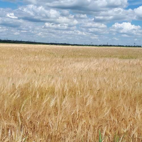 Photo #7222572