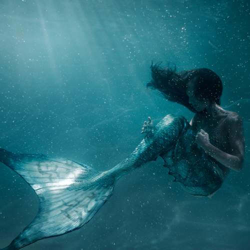 Photo #7222669