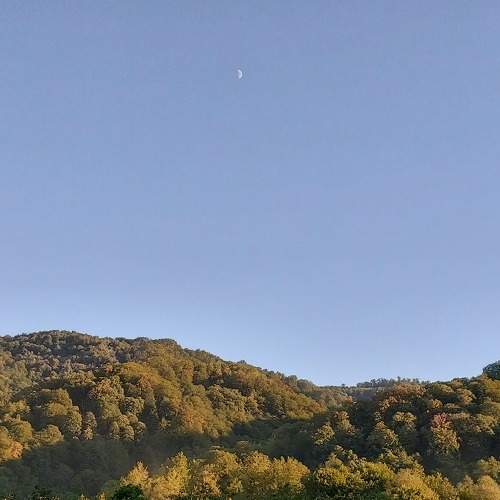 Photo #7222914