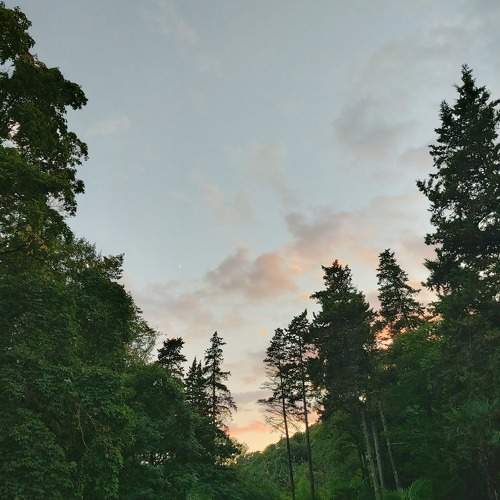 Photo #7222920