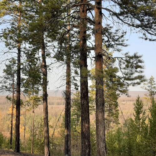 Photo #7223069
