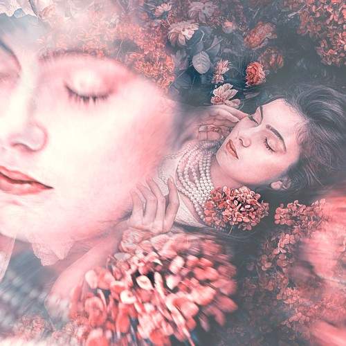 Photo #7223155
