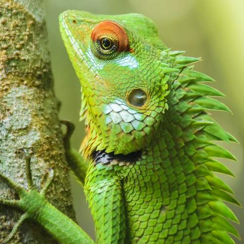 Photo #7223176