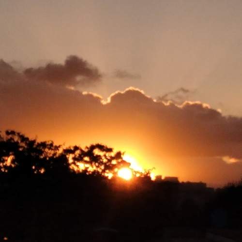 Photo #7223226