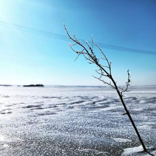 Photo #7223403