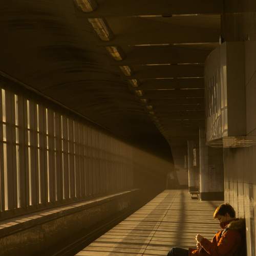 Photo #7223430