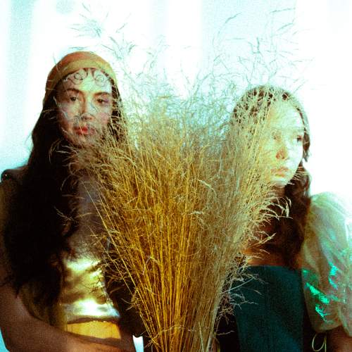 Photo #7223648