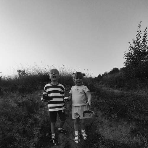 Photo #7223732