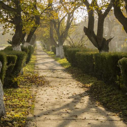 Photo #7223794