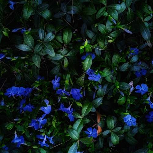 Photo #7223864