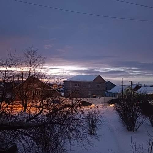 Photo #7223960
