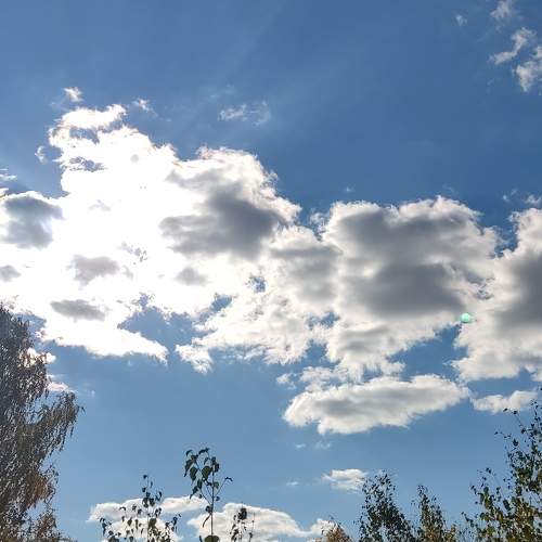 Photo #7224186