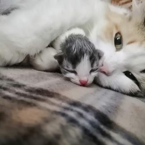 Photo #7224295
