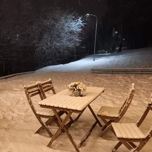 Photo #7224321