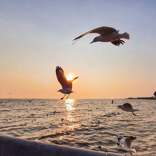 Photo #7224423
