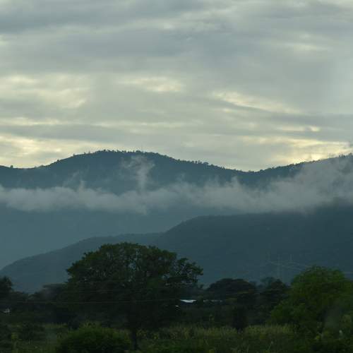 Photo #7224553