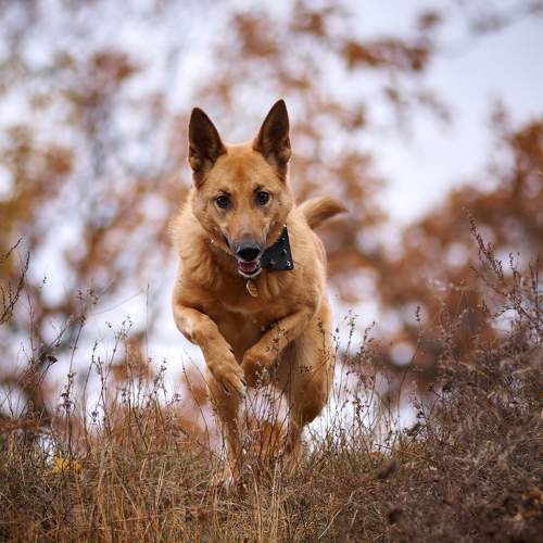 Photo #7224715