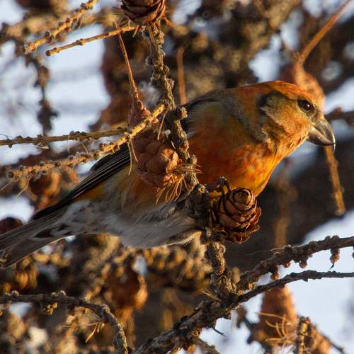 Photo #7224995