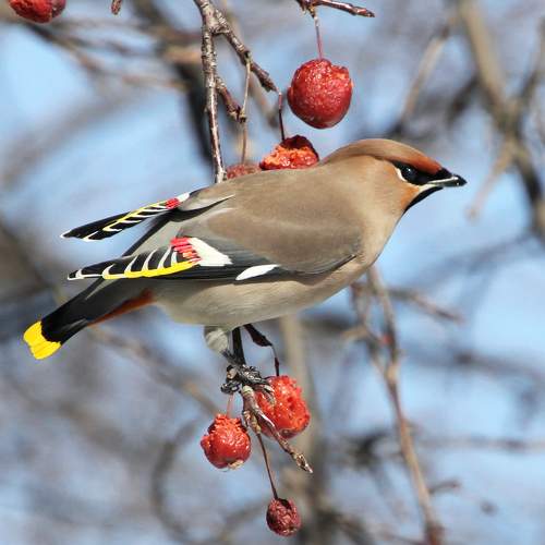 Photo #7225085