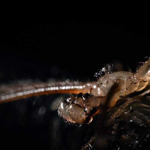 Photo #7225139