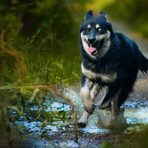 Photo #7225210