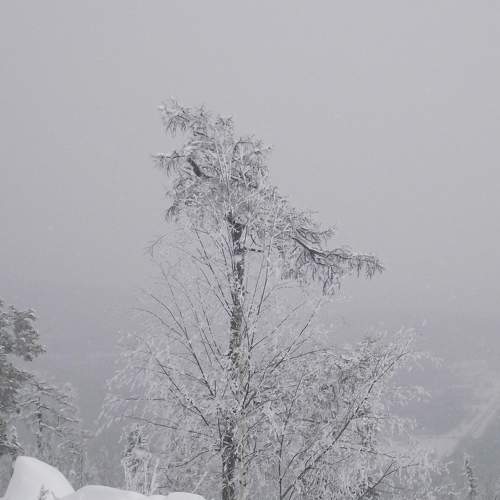 Photo #7225435