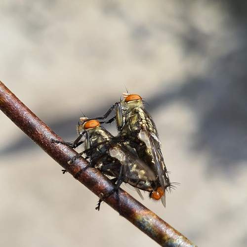 Photo #7225985