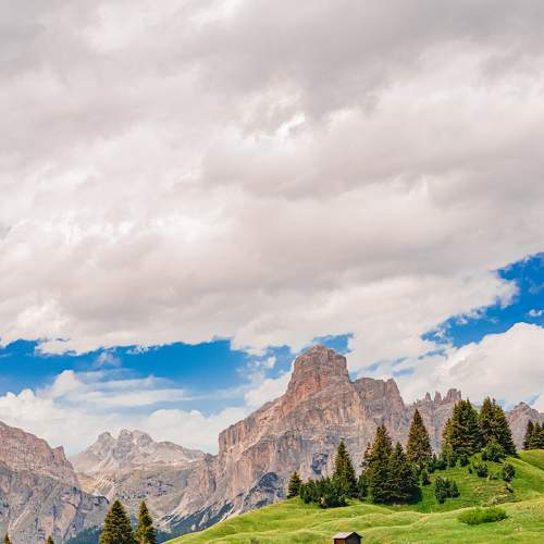 Photo #7226419