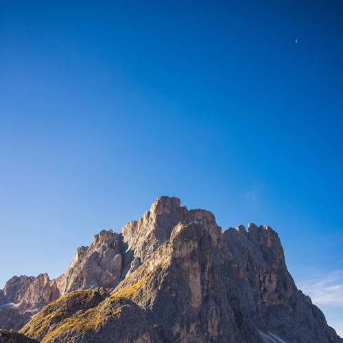 Photo #7226479