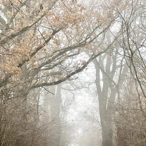Photo #7226956