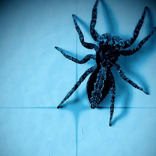 Photo #7227141