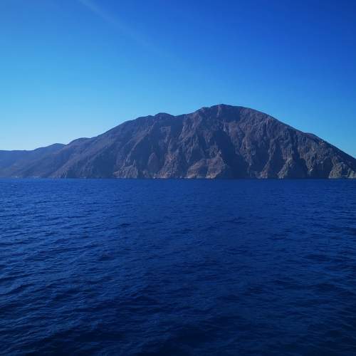 Photo #7227366