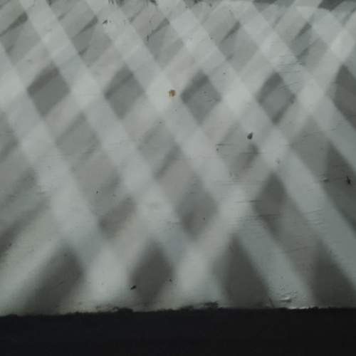 Photo #7227385