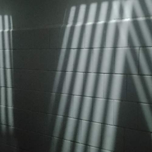 Photo #7227423