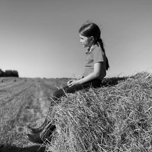 Farm routine