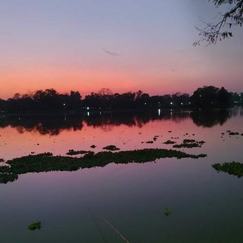 Photo #7227624