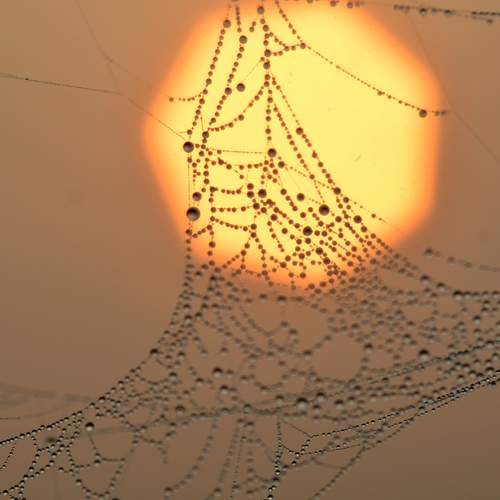 Photo #7227719