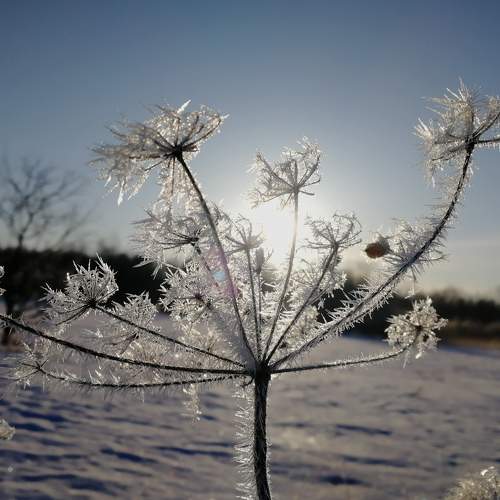 Photo #7227862