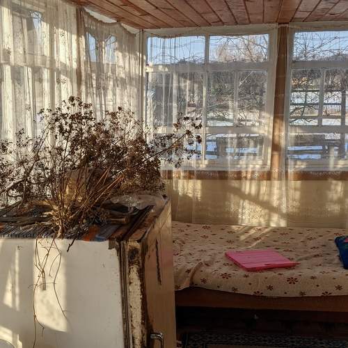 Photo #7227912